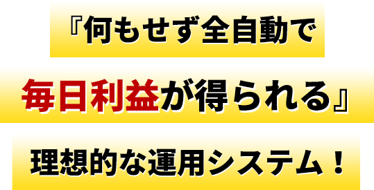 『何もせず全自動で毎日利益が得られる』理想的な運用システム！